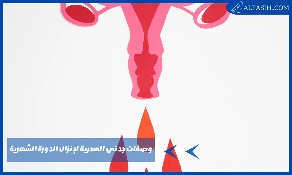 وصفات جدتي السحرية لإنزال الدورة الشهرية بسرعة