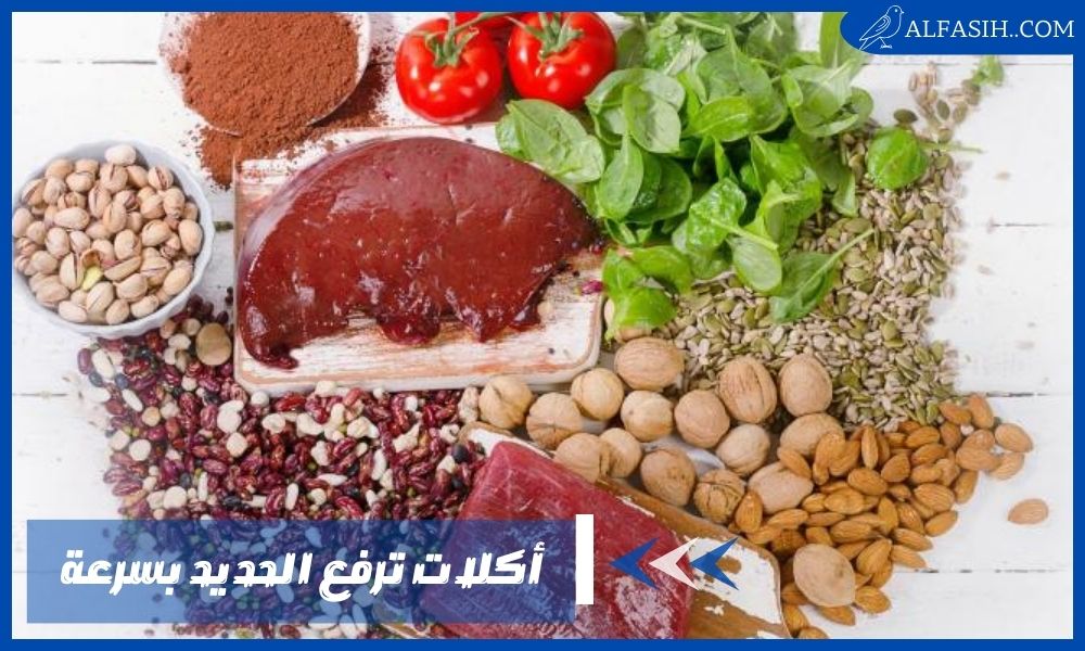أكلات ترفع الحديد بسرعة