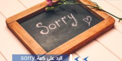 الرد على كلمة sorry بعبارات مميزة جذابة