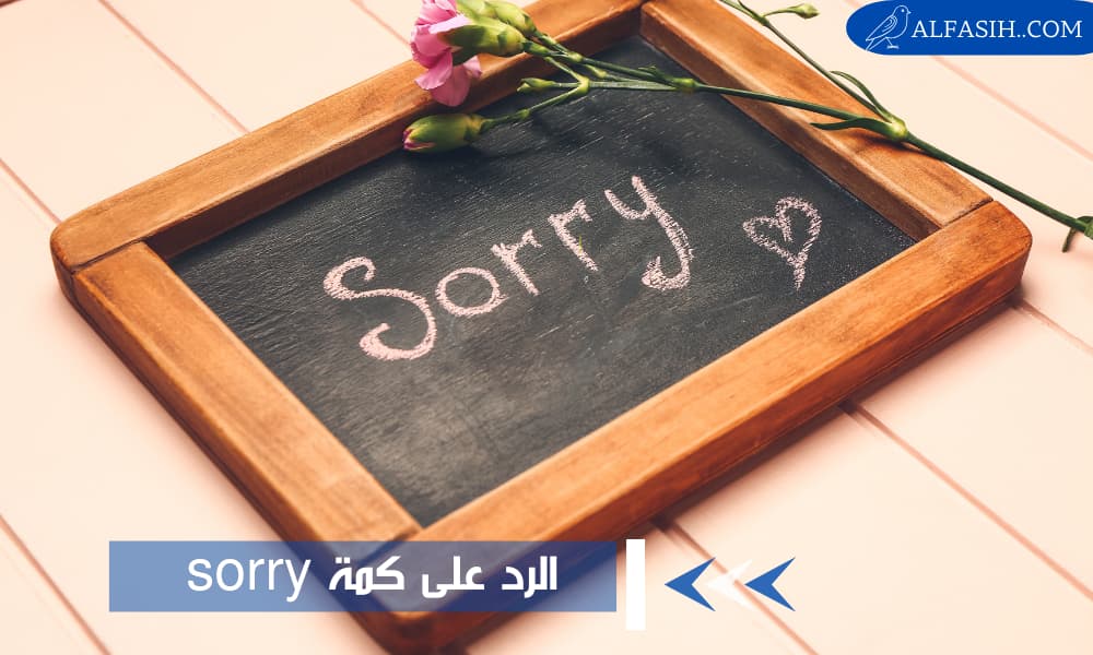 الرد على كلمة sorry بعبارات مميزة جذابة