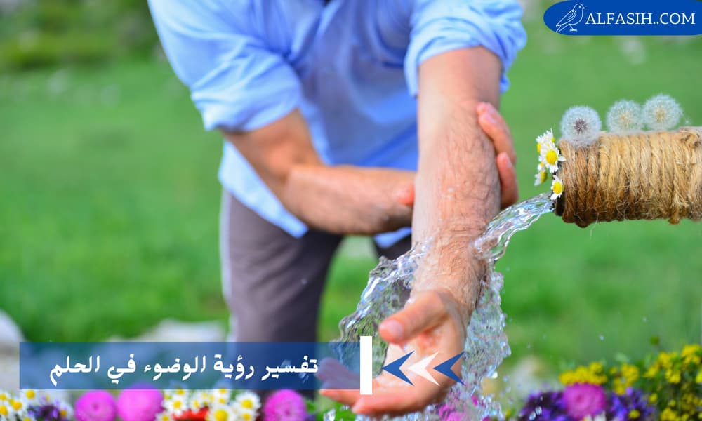 تفسير رؤية الوضوء في الحلم