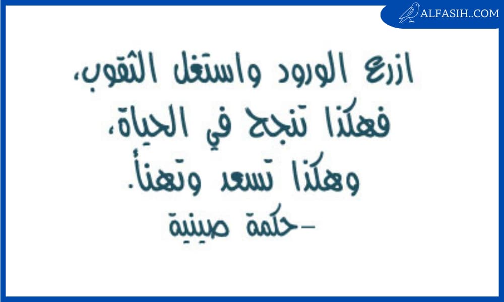حكم صينية جميلة وواقعية