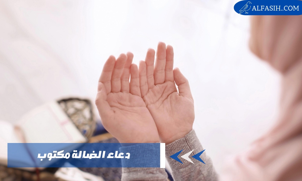 دعاء الضالة