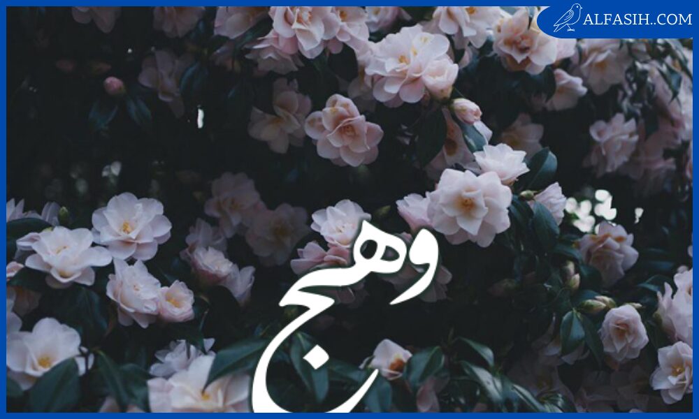معنى اسم وهج