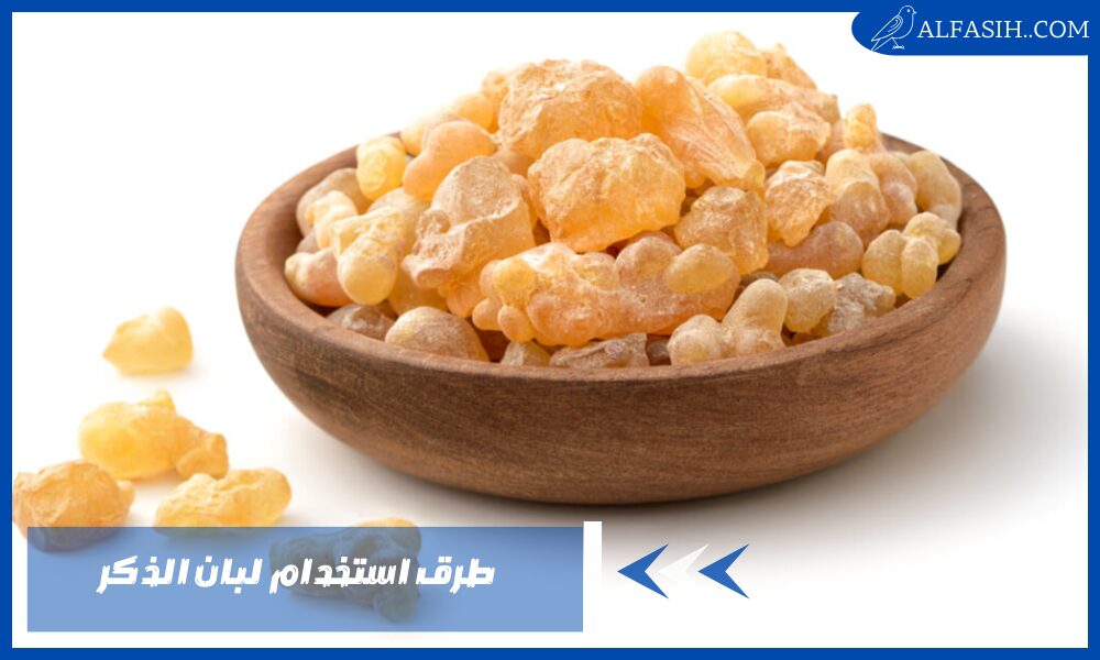 طرق استخدام لبان الذكر 1