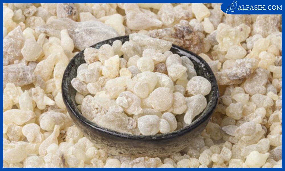 طرق استخدام لبان الذكر