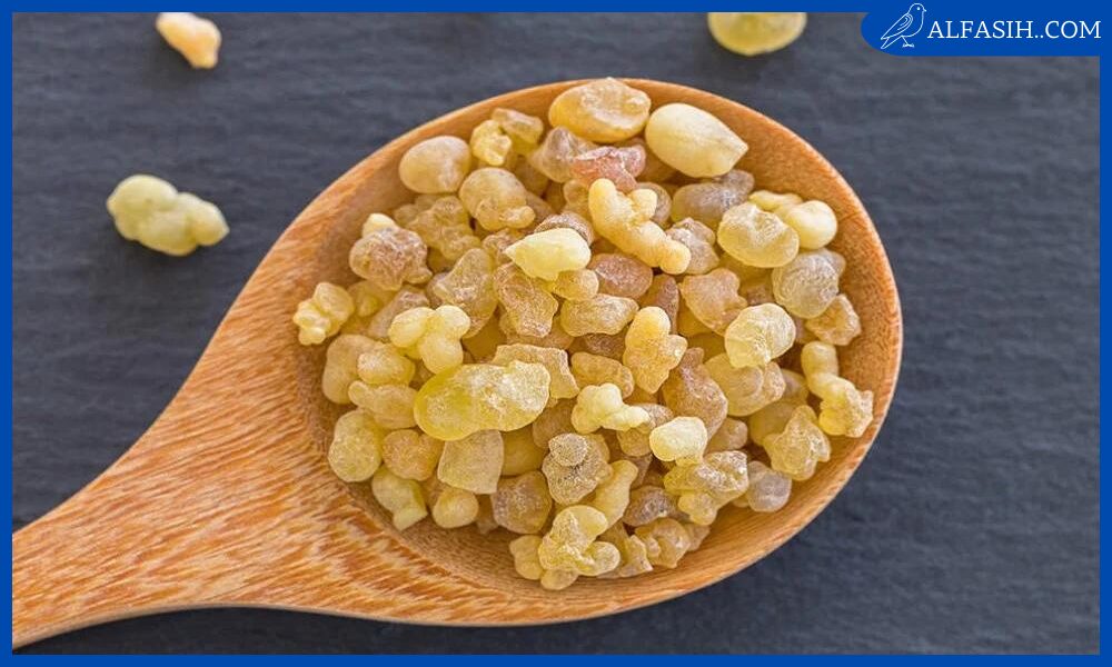 طرق استخدام لبان الذكر