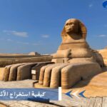 طرق كيفية استخراج الآثار الفرعونية في مصر