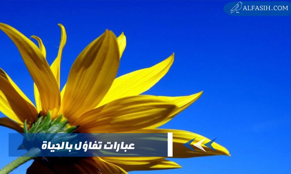 عبارات تفاؤل بالحياة