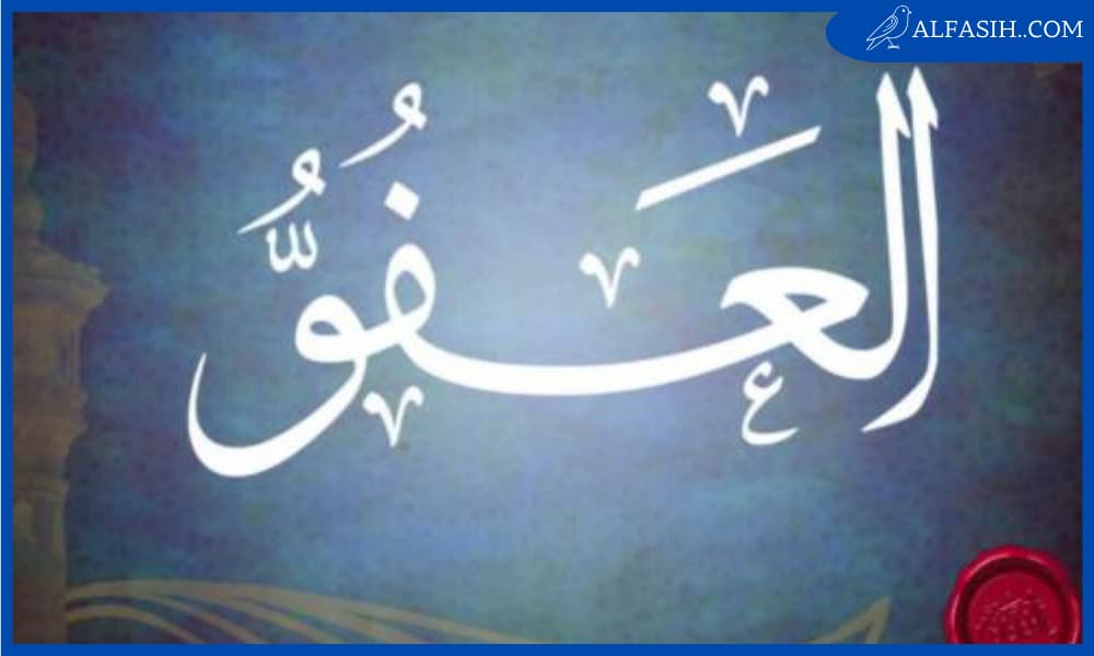 ما هو العفو وما هي أنواعه