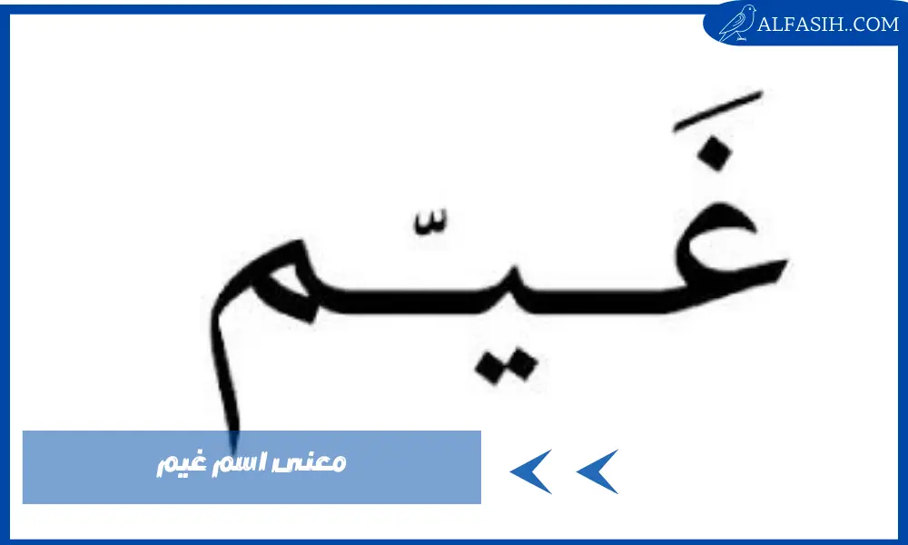 معنى اسم غيم