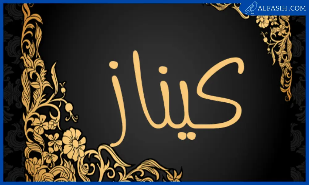 معنى اسم كيناز2