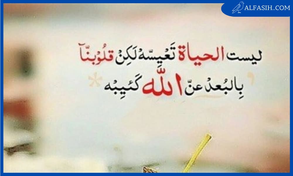 نصائح دينية مهمة