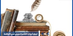 أجمل أبيات الشعر العربي في الحكمة وأروع ما تغنى به الشعراء عن الحكمة