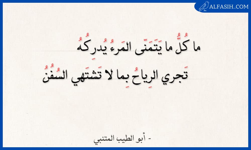 أشهر أبيات الشعر العربي في الحكمة مميزة