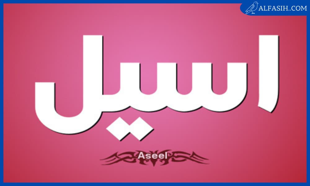 شخصيات تحمل اسم أسيل