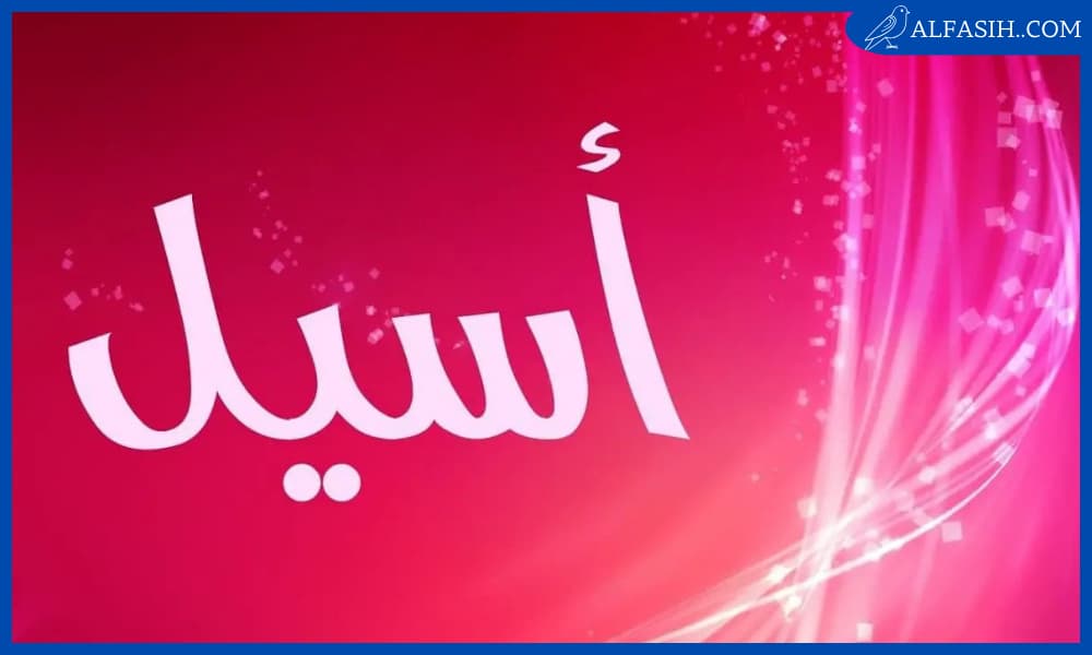 صفات حامل اسم أسيل