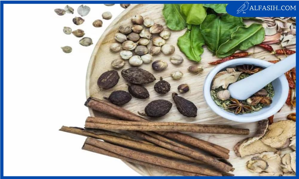 طرق طبيعية لزيادة فرص الحمل