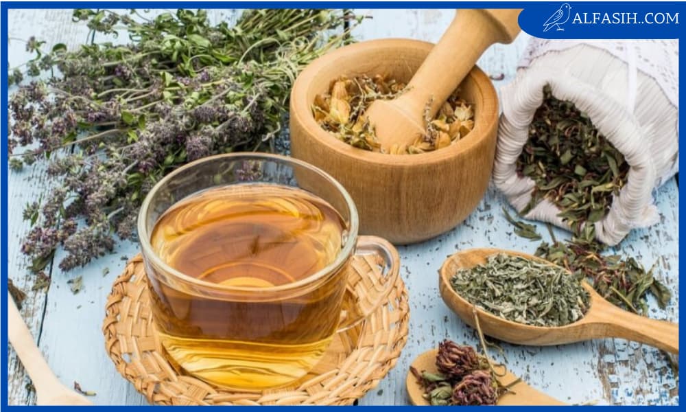 طرق طبيعية لزيادة فرص الحمل