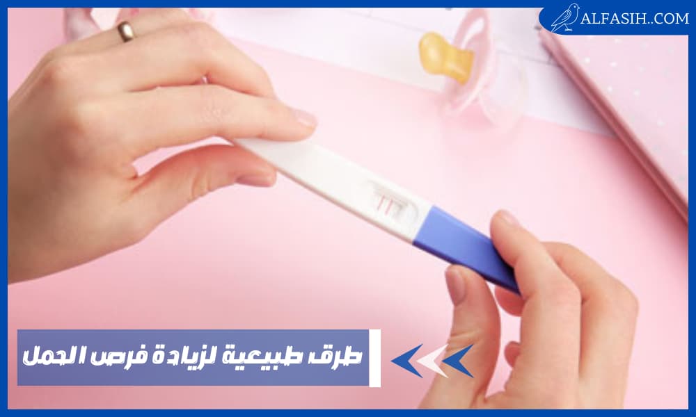 طرق طبيعية لزيادة فرص الحمل