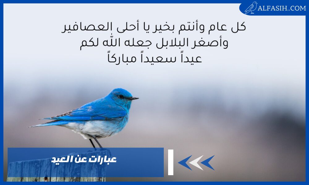 عبارات عن العيد لتشارك الفرح والسعادة مع أحبائك