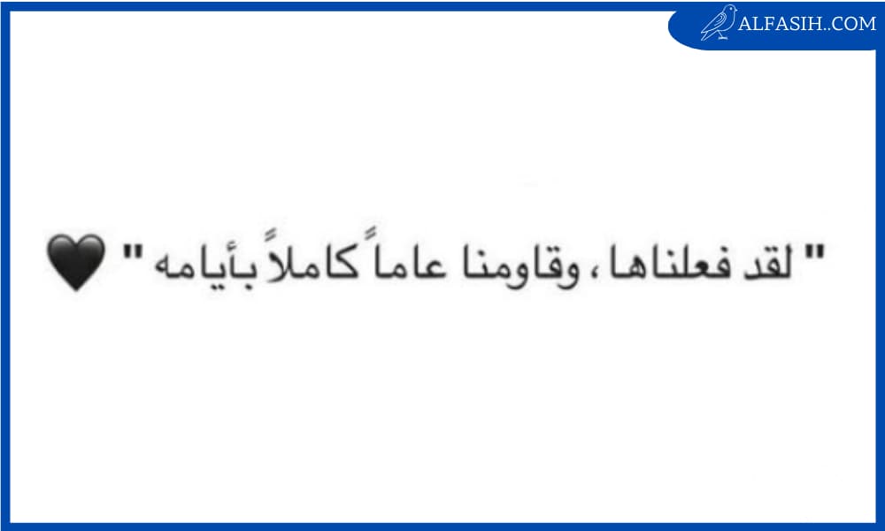 عبارات عن النجاح