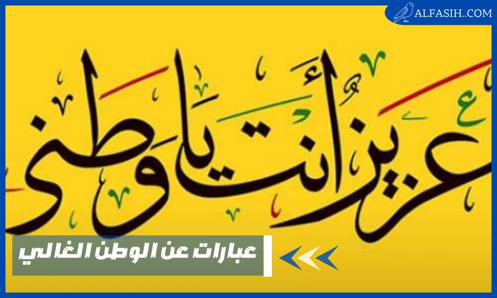عبارات عن الوطن الغالي