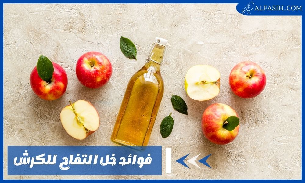 فوائد خل التفاح للكرش لدهون البطن وتعزيز صحة الهضم