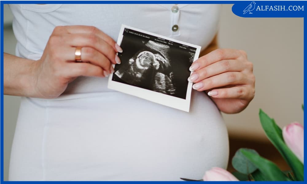 متى يظهر التوأم بالسونار
