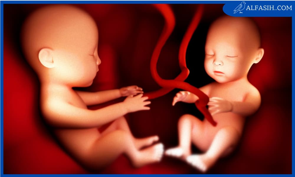 متى يظهر التوأم بالسونار
