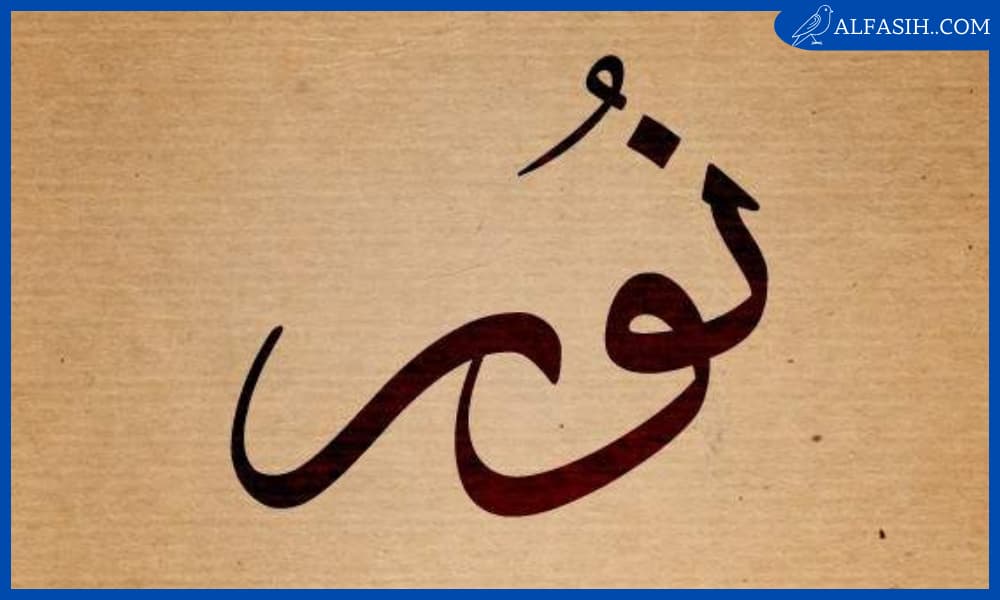 مشاهير تحمل اسم نور