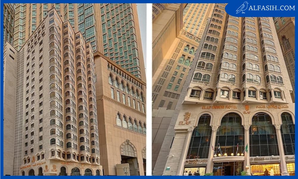 ايلاف كنده