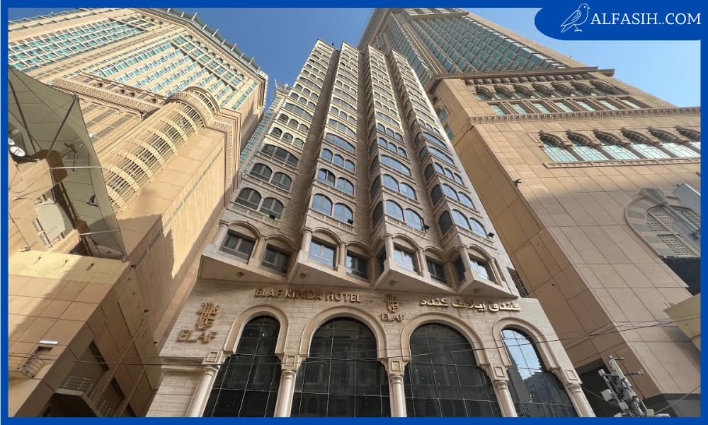 ايلاف كنده