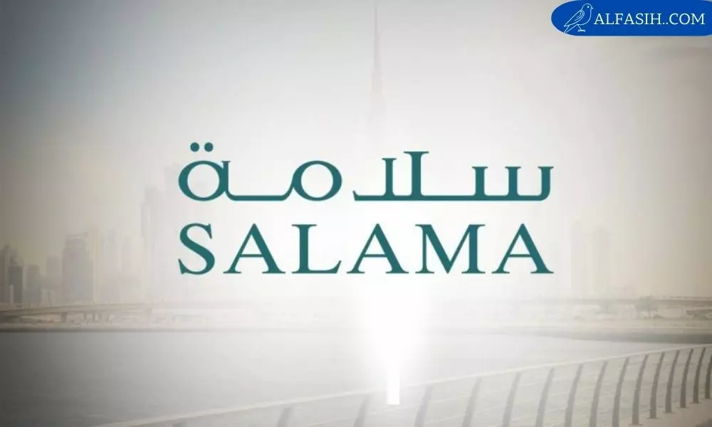 تامين السلامة للسيارات