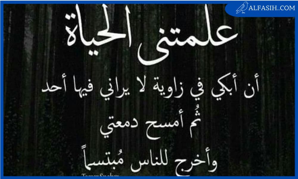 حالات واتس اب مقصودة
