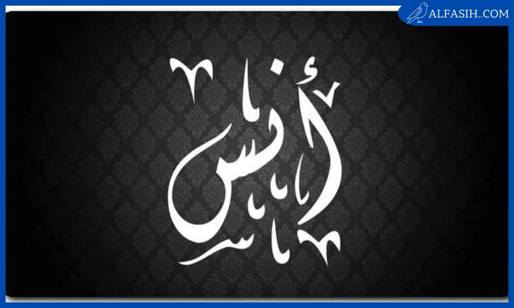 عيوب اسم أنس