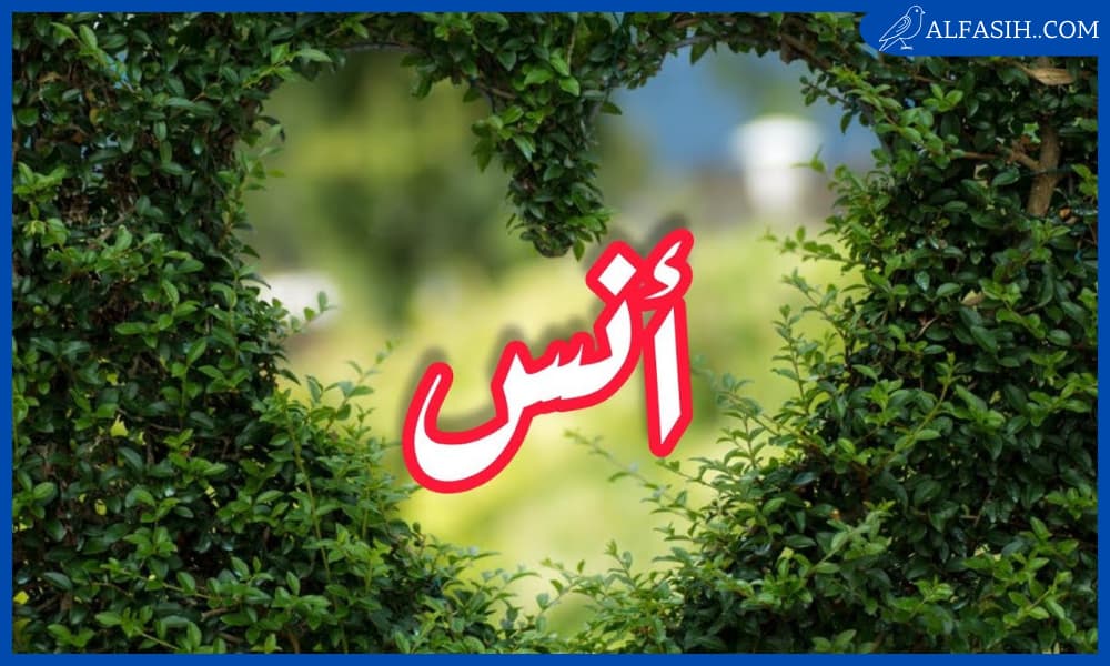 معنى اسم أنس في علم النفس