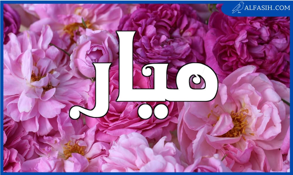 معنى اسم ميار