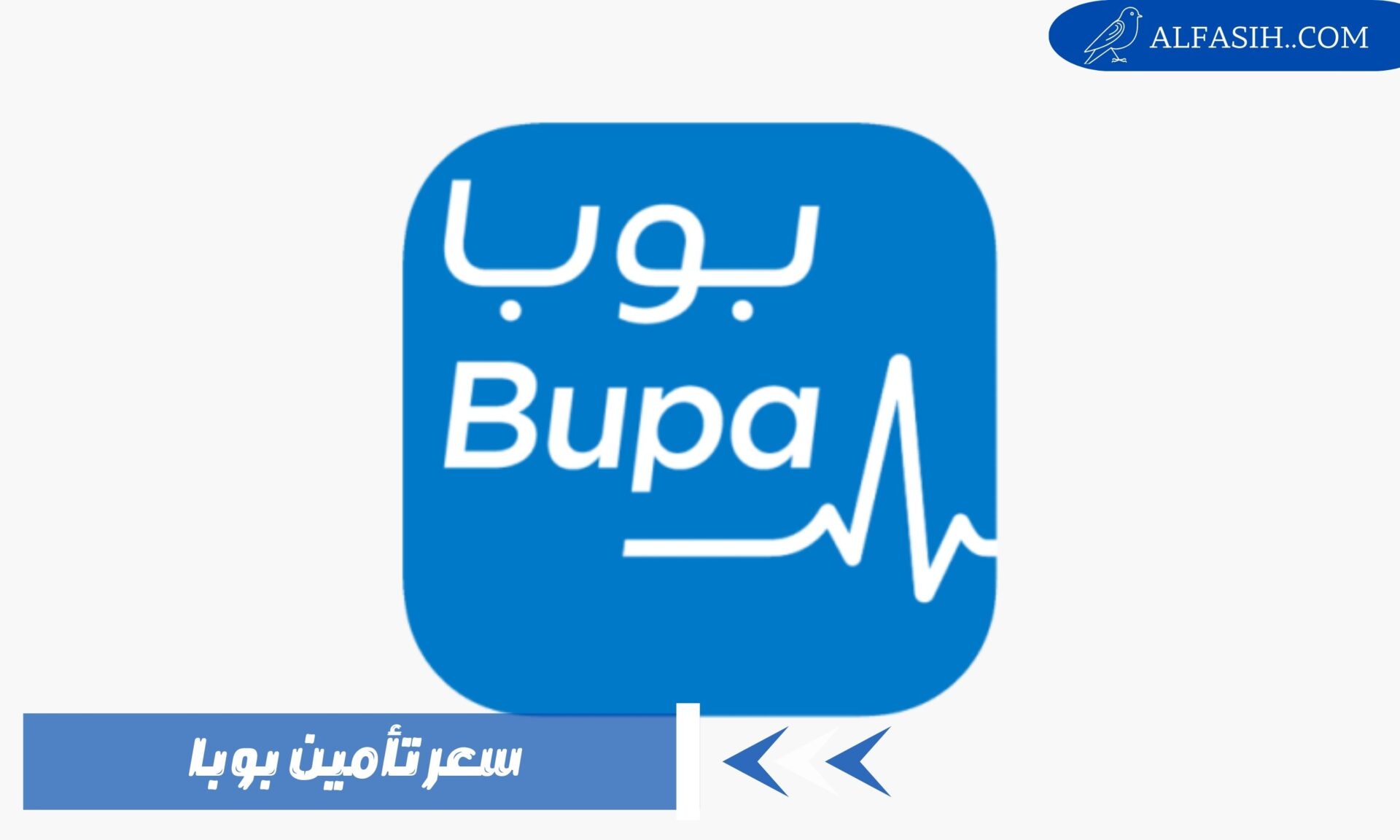 سعر تأمين بوبا