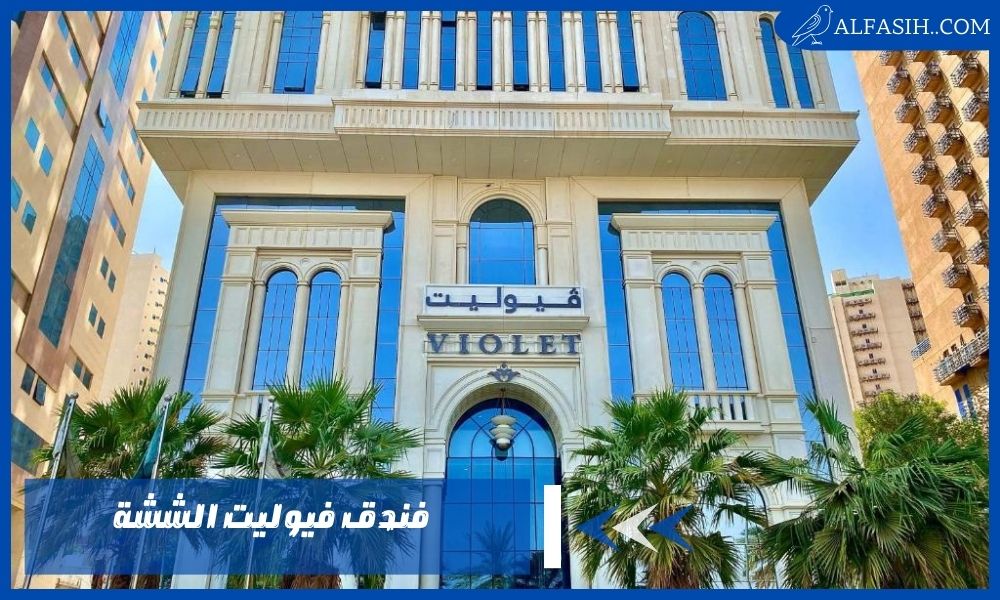 فندق فيوليت الششة عروض وأسعار اقتصادية وإقامة فندقية