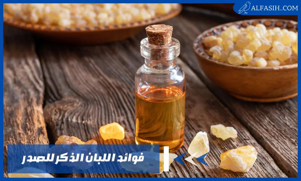فوائد اللبان الذكر للصدر