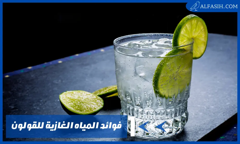 فوائد المياه الغازية للقولون