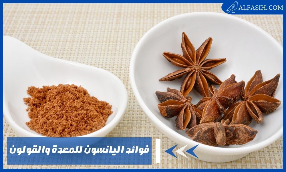 فوائد اليانسون للمعدة والقولون| الحالات الممنوعة من شرب اليانسون