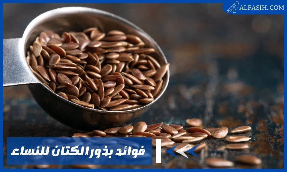 فوائد بذور الكتان للنساء وكيفية استخدمها لزيادة هرمون الأنوثة
