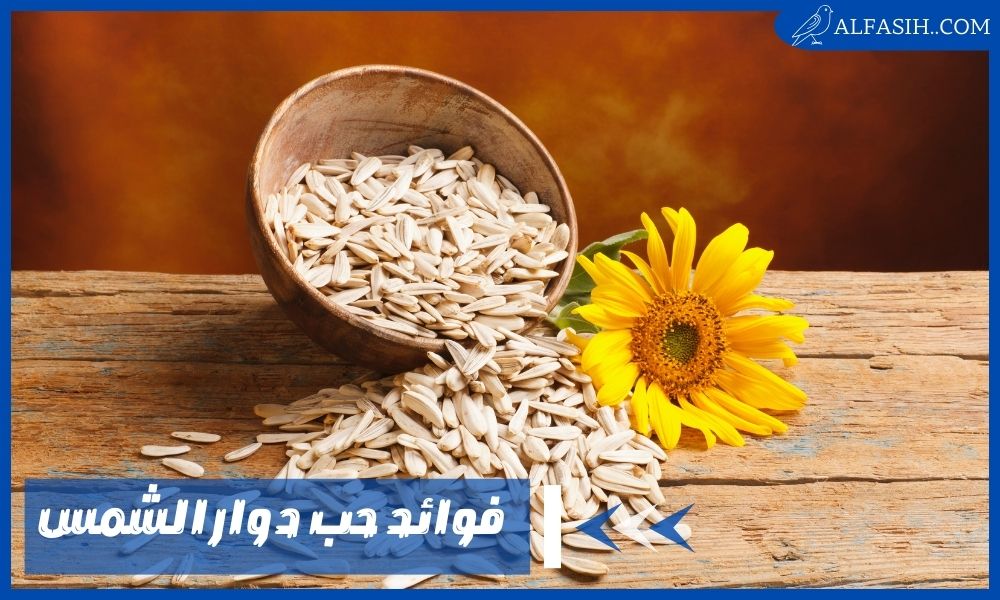 فوائد حب دوار الشمس للتنحيف وتأثيره على الدهون الثلاثية