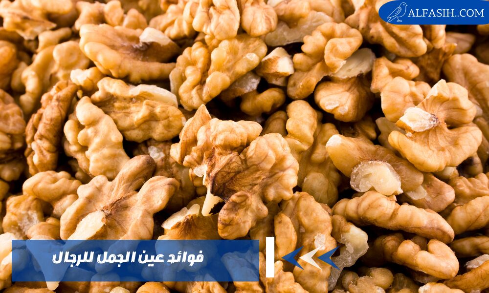 فوائد عين الجمل للرجال