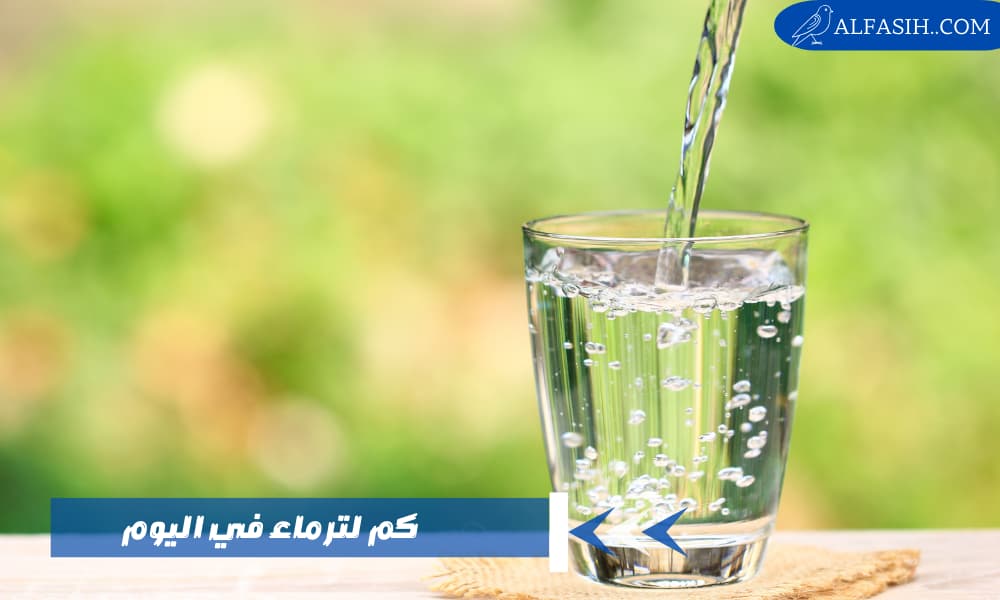 كم لتر ماء في اليوم