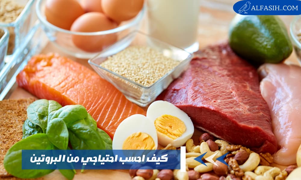 كيف احسب احتياجي من البروتين