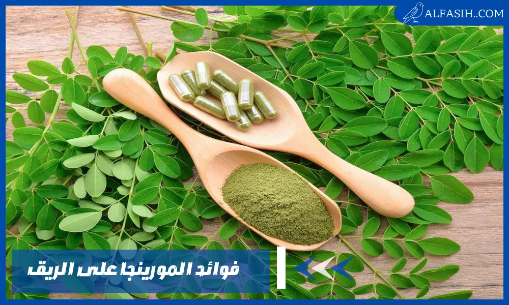 فوائد المورينجا على الريق