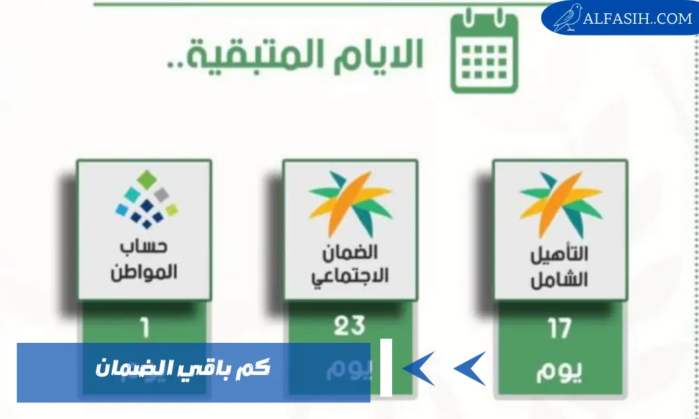 كم باقي الضمان: أيام قليلة تفصلنا عن نزول المرتبات